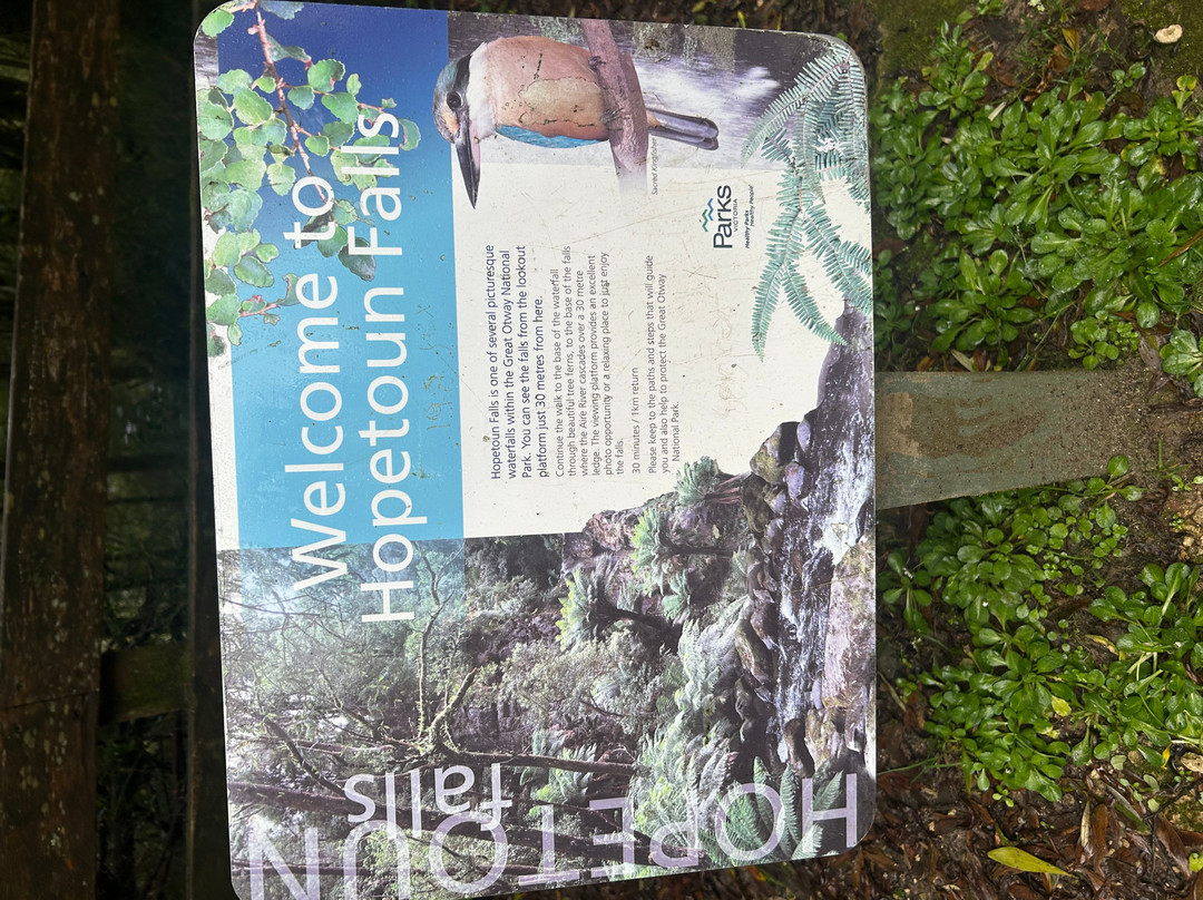 Hopetoun Falls-Beech Forest必去景点
