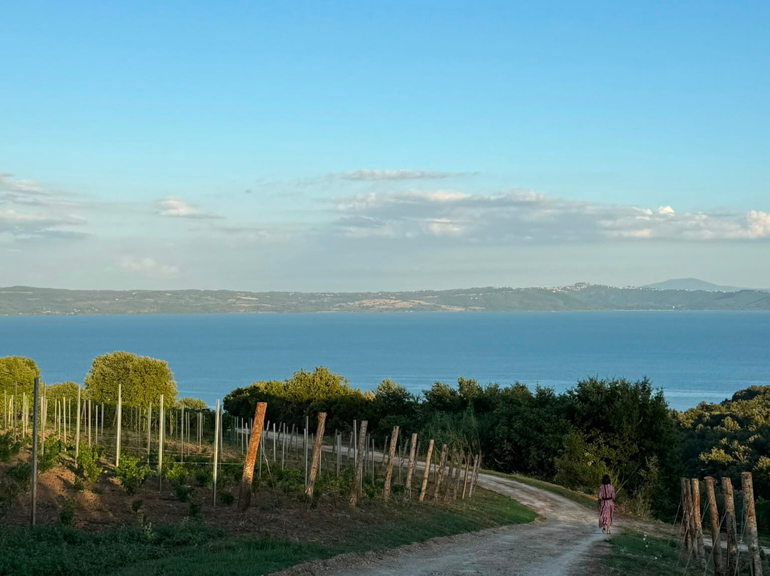 Villa Caviciana FAI - Azienda Agricola-Gradoli必去景点