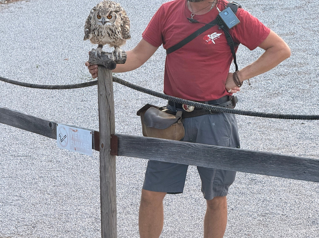 Parco Acrobati del Sole-Cividale del Friuli必去景点