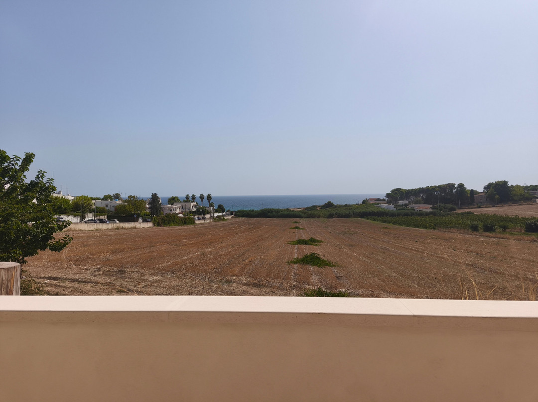 BeBaia
