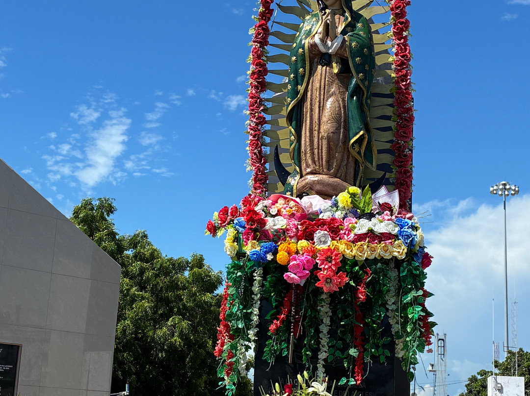 Mazatlan Tours-马萨特兰必去景点