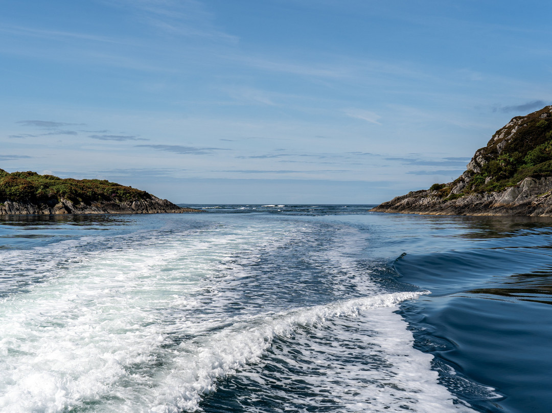 Seafari Adventures (Oban)-Ellenabeich必去景点