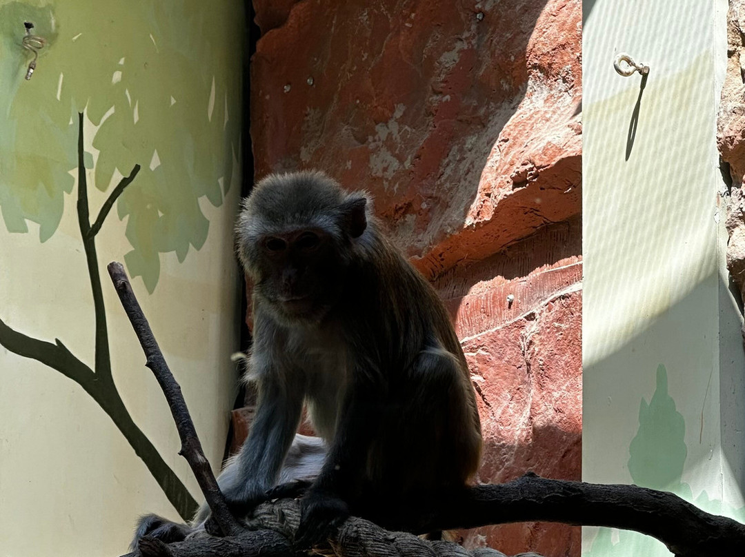Belgorod Zoo-Belgorod必去景点