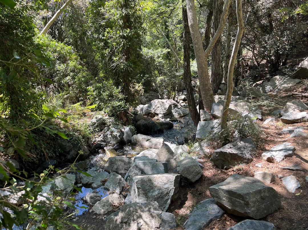 Caledonia Waterfall-帕拉翠斯必去景点