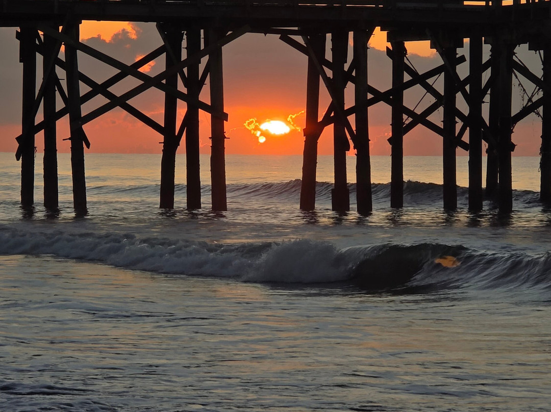 Isle of Palms Beach-棕榈岛必去景点