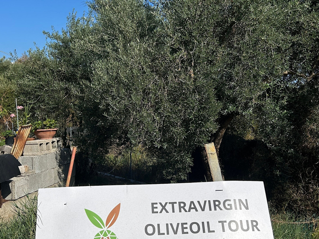 Olivina Experiences-Lotzorai必去景点