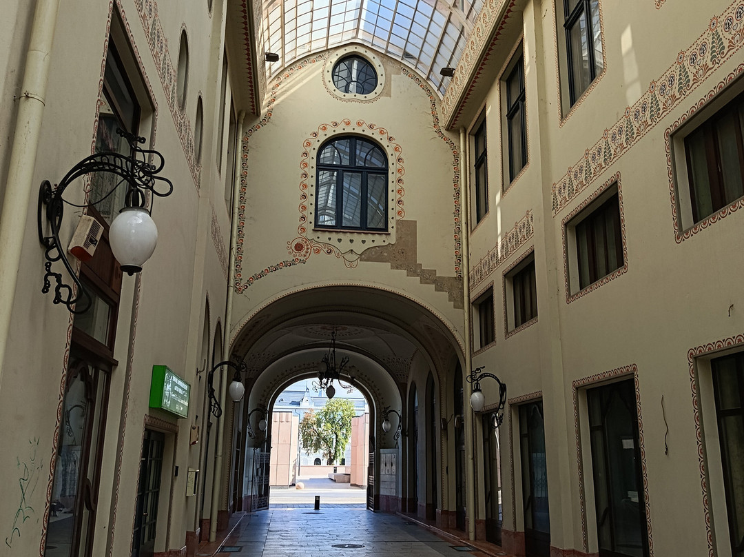 Black Hawk (Vulturul Negru) Palace Arcade-拉迪亚必去景点