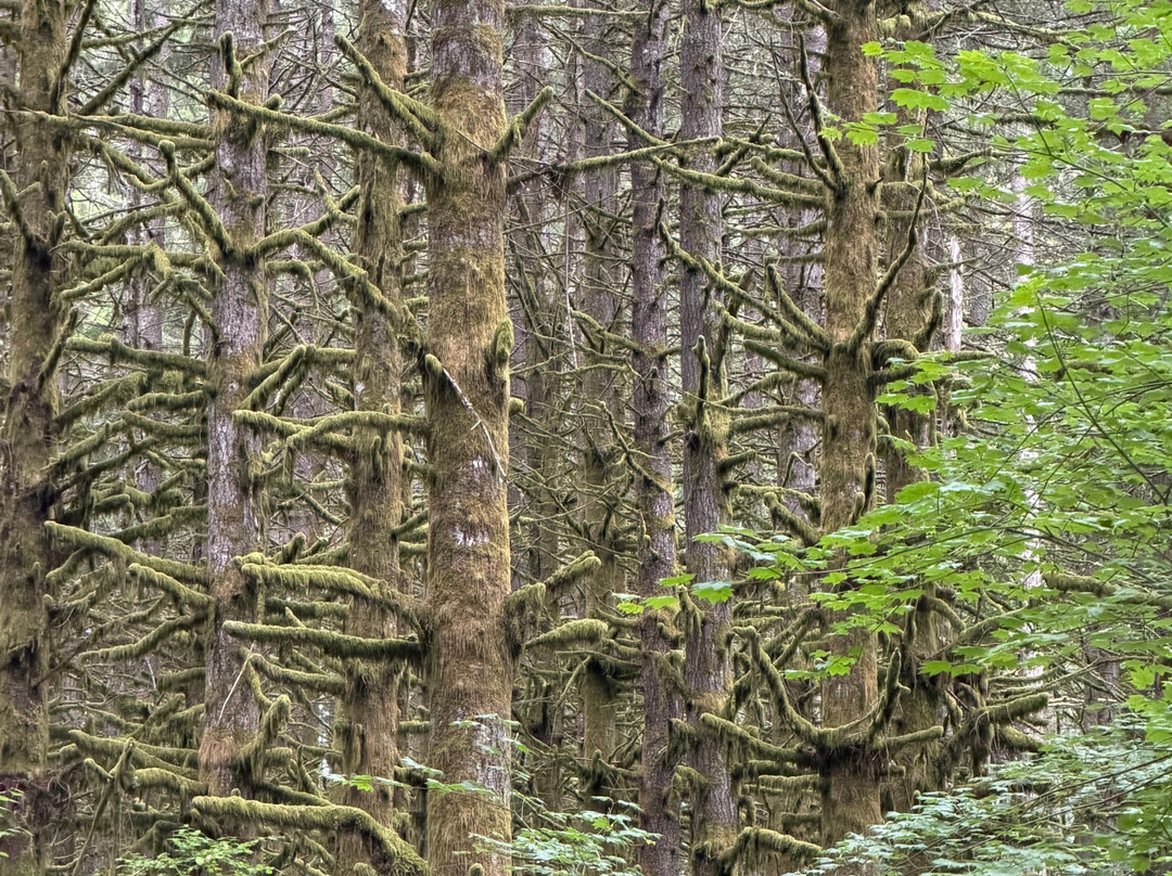 Lord Hill Regional Park-Snohomish必去景点
