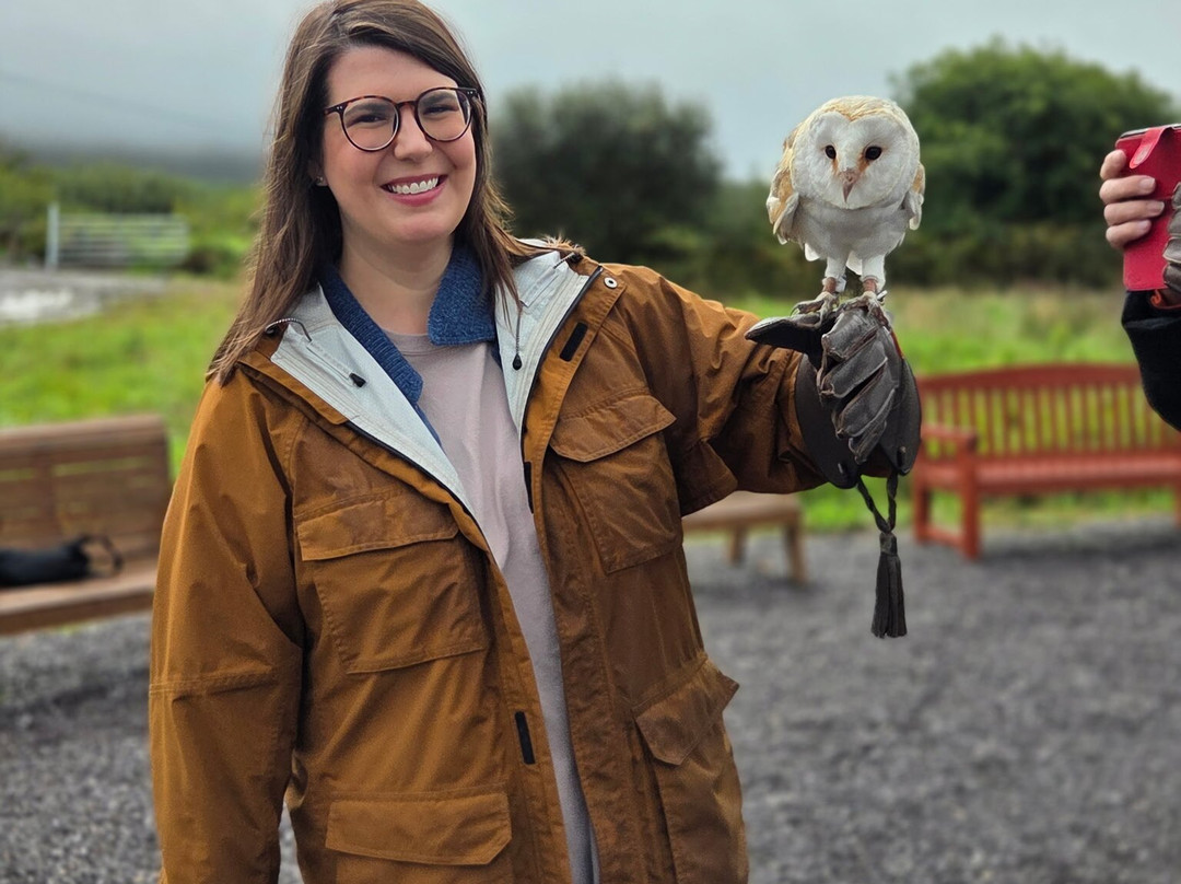Kingdom Falconry - Dingle-丁格尔必去景点