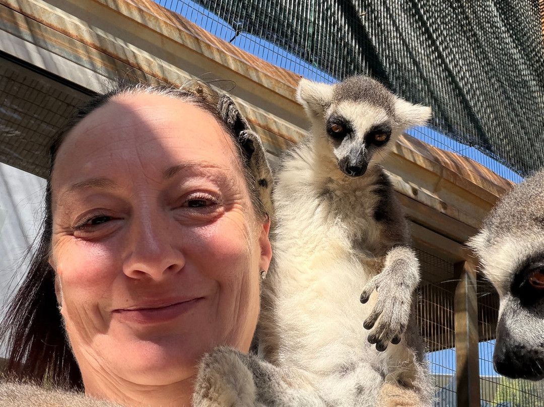 Pafos Zoo-帕福斯必去景点