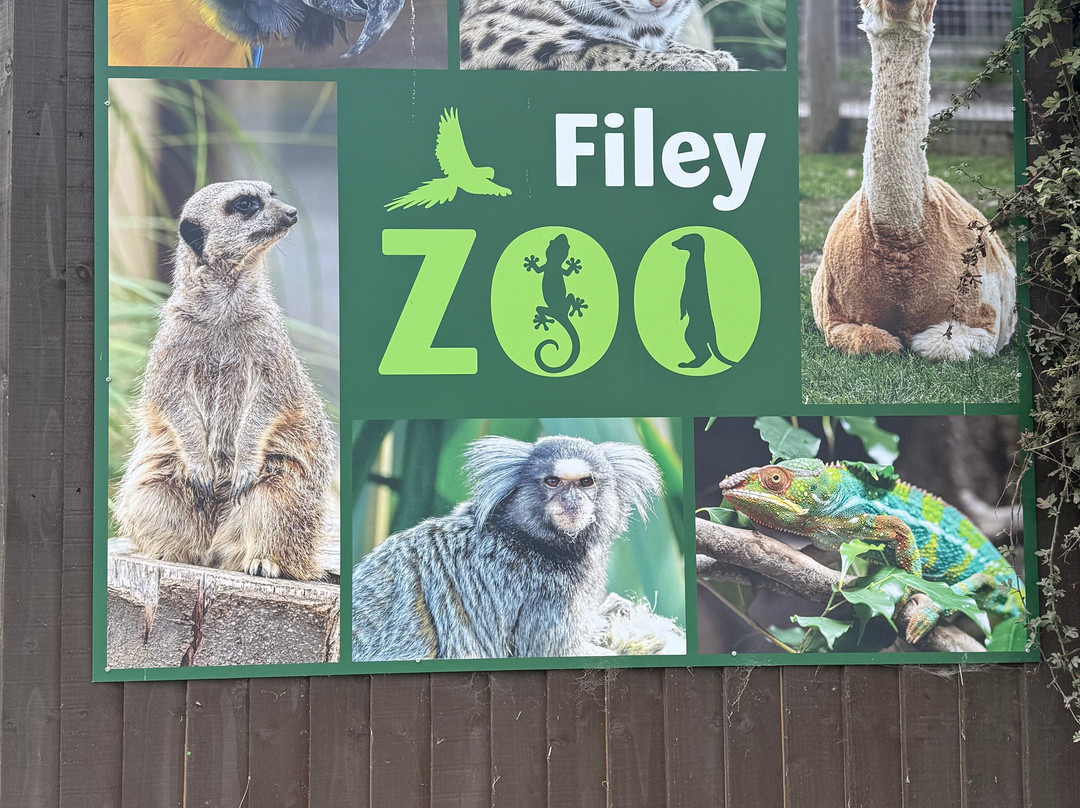 Filey Zoo-Filey必去景点