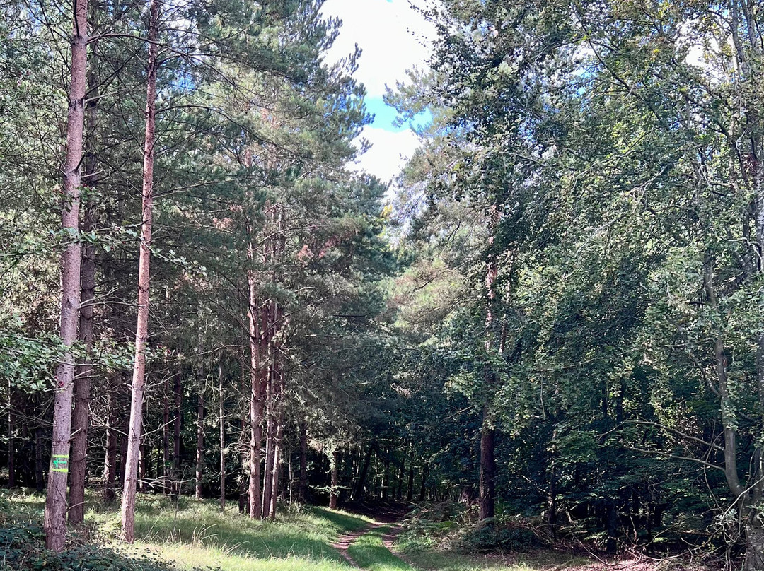 Brandon Country Park-Brandon必去景点