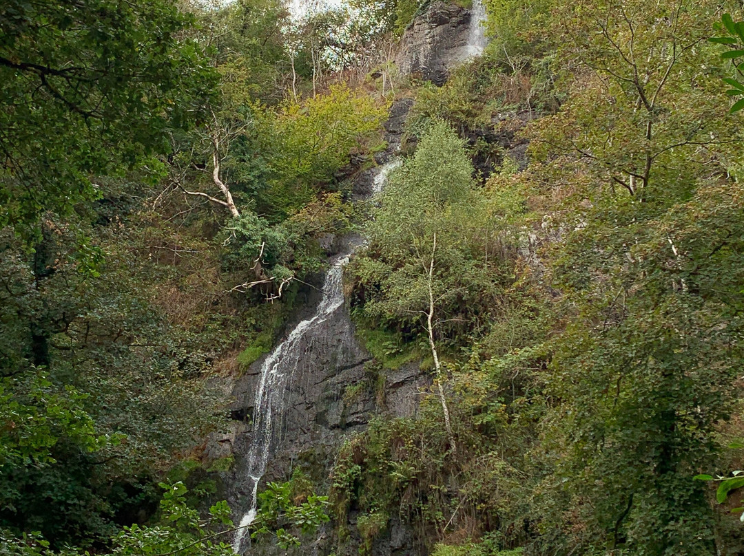 Canonteign Falls-Christow必去景点