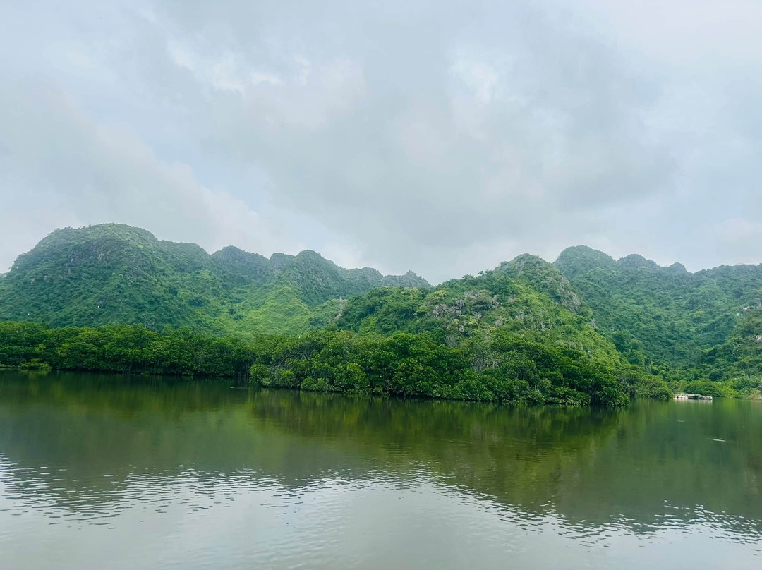 Baie de Bai Tu Long-Cat Ba Town必去景点