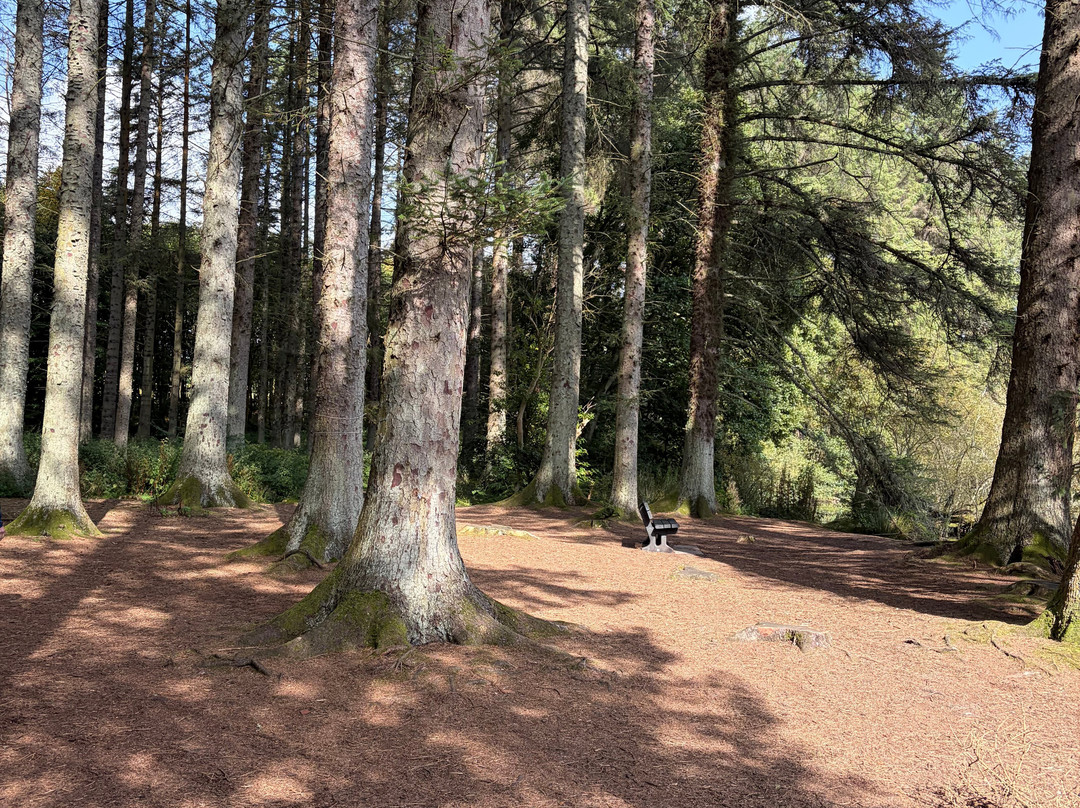 Beecraigs Country Park-林利斯戈必去景点