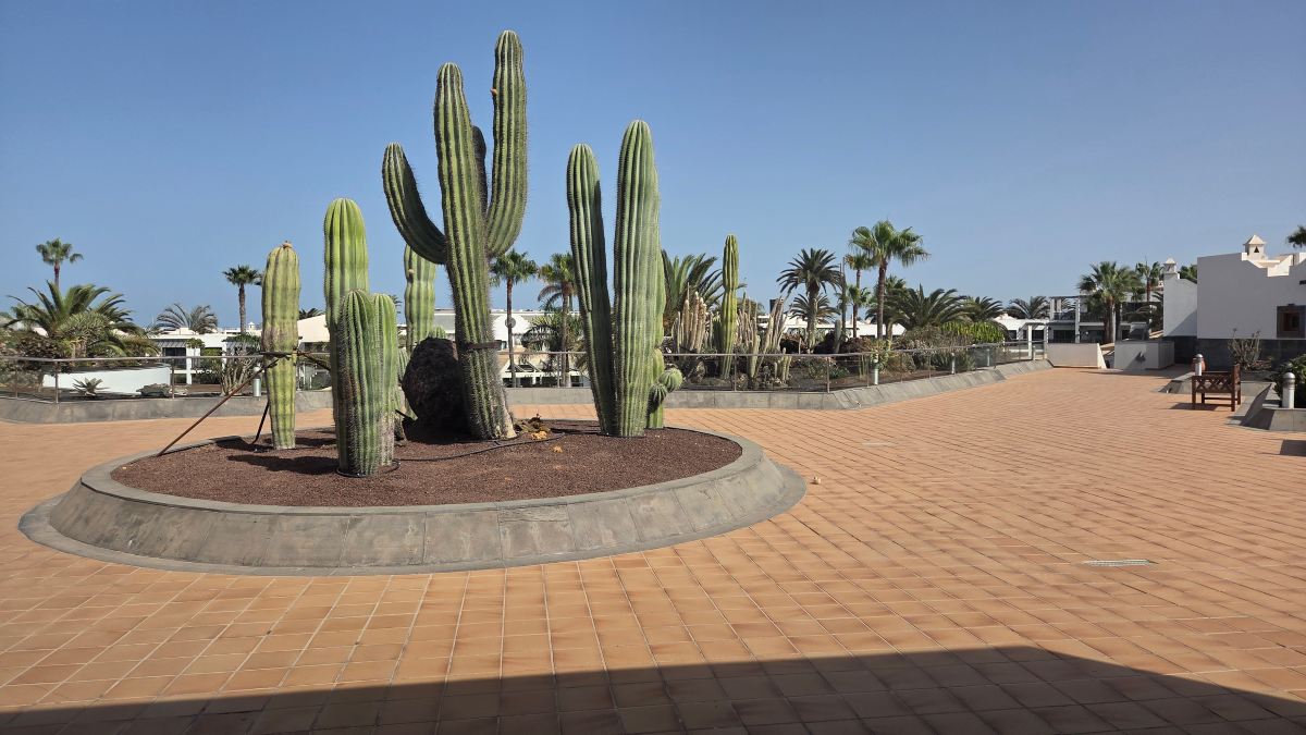 科拉莱霍拉麦里斯迈酒店-旅行者