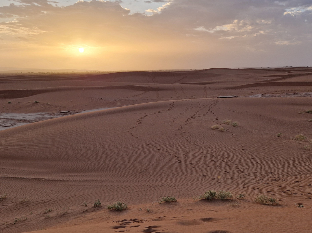 Via Morocco Tours-卡萨布兰卡必去景点