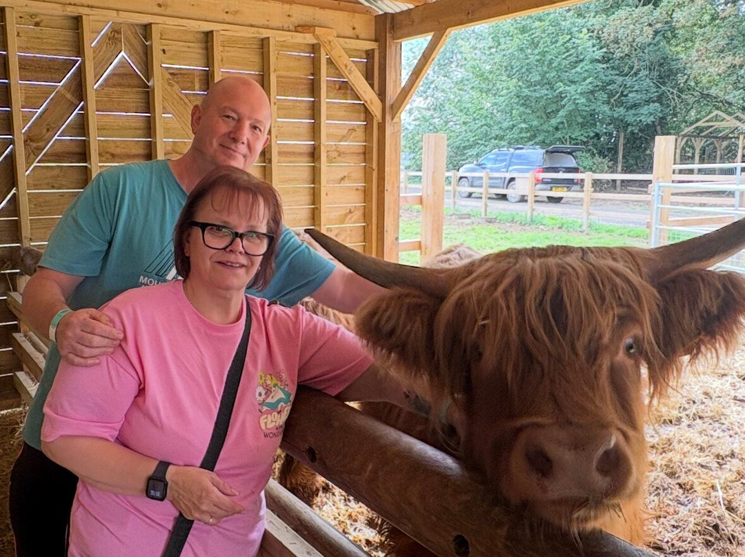 Quex Adventure Farm Park-Birchington必去景点