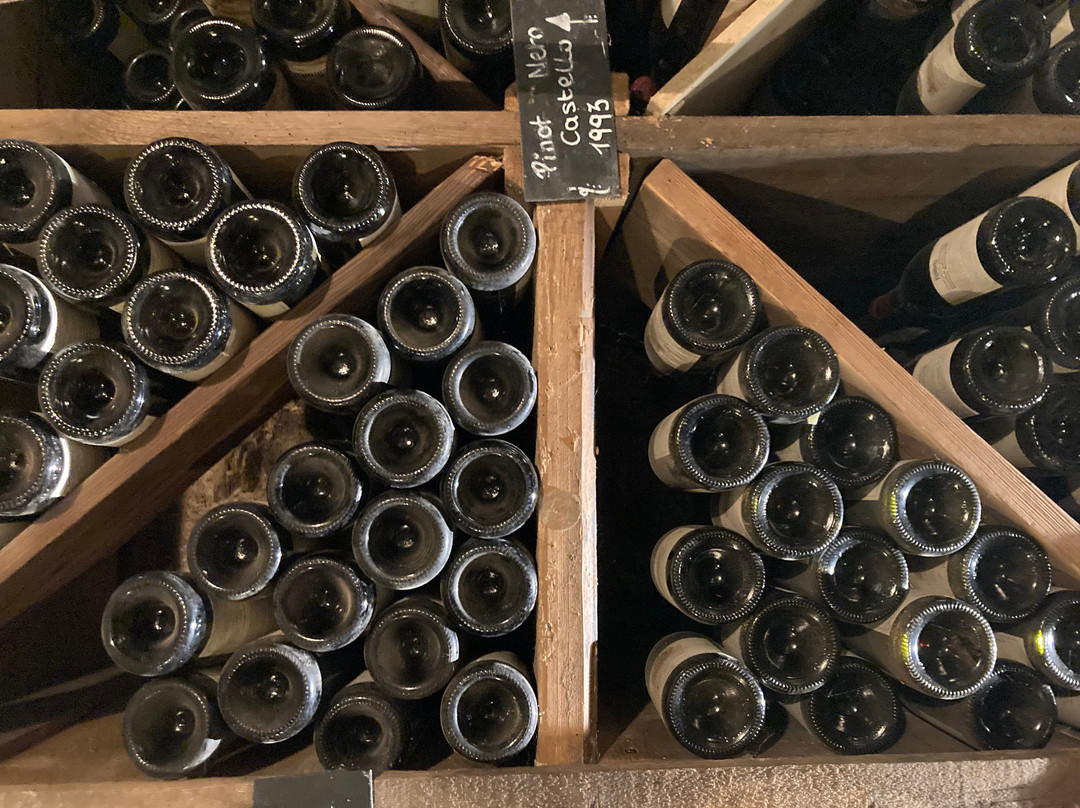 Castello Rametz - Wine Museum-梅拉诺必去景点