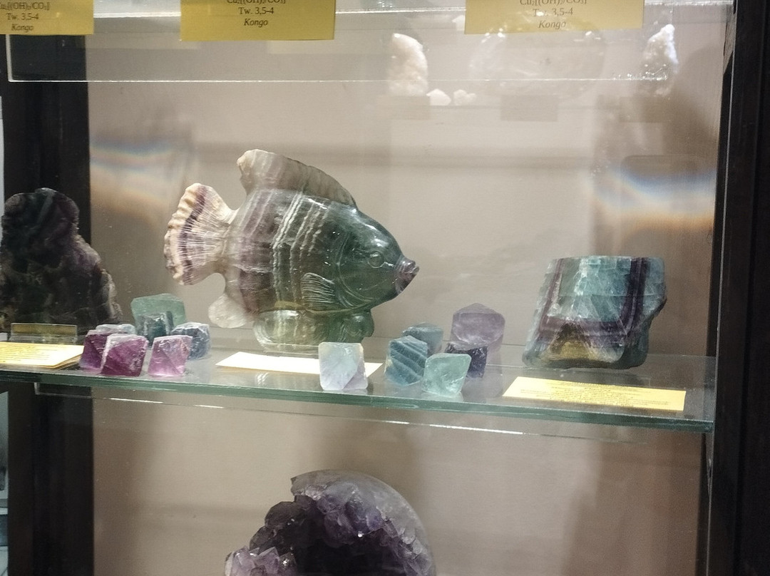 Mineralogical Museum-斯克拉斯卡波伦巴必去景点