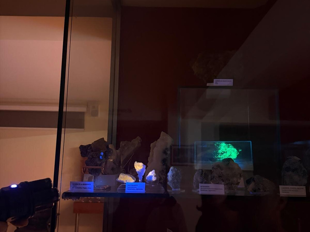 Museum of Mineralogy & Paleontology Stamatiadis-Ialysos必去景点