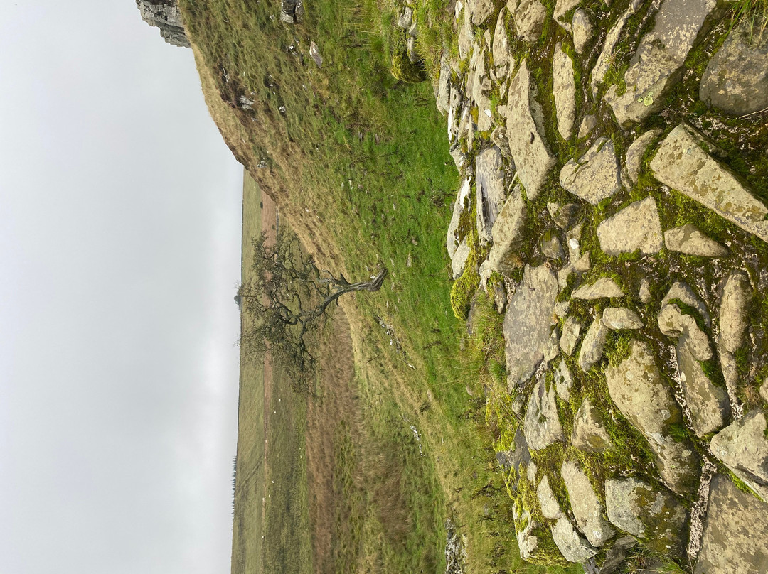 Saughy Rigg Farm主图