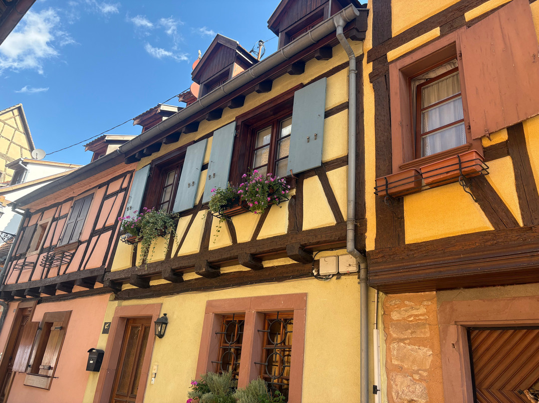 village d'Eguisheim-艾古斯汉必去景点