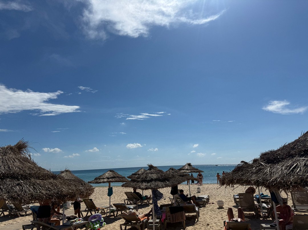 文希诺扎海滩酒店(VINCCI NOZHA BEACH)主图