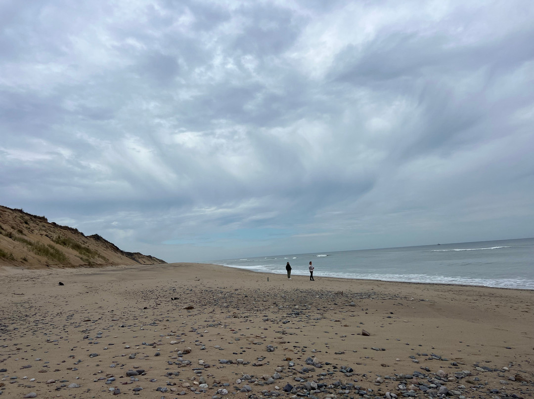 Marconi Beach-Wellfleet必去景点