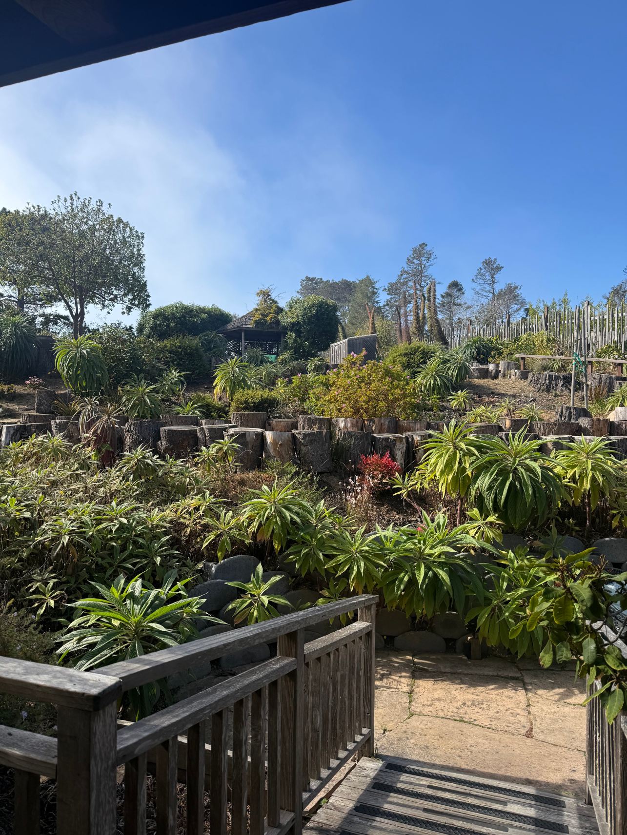 Rendezvous Mendocino-旅行者