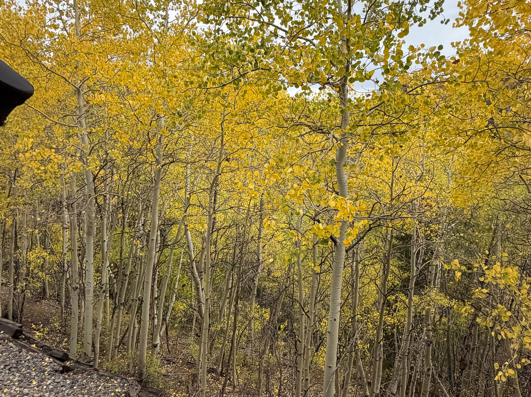 Cumbres & Toltec Scenic Railroad-Chama必去景点