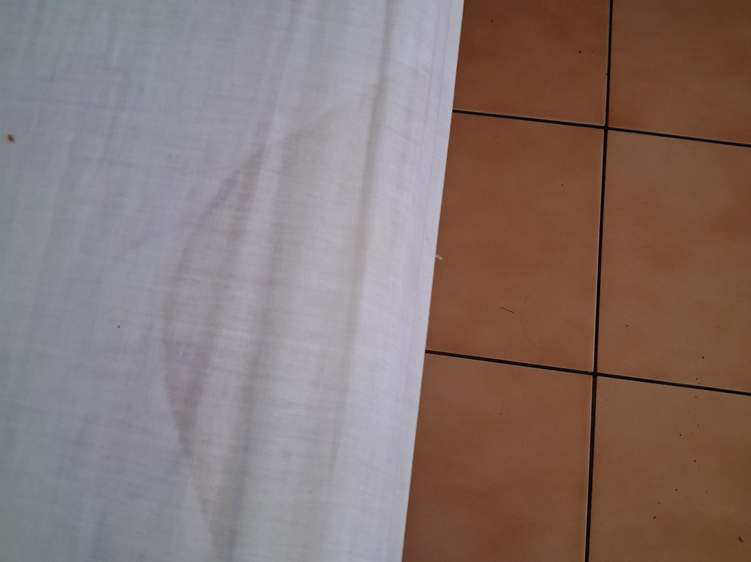 Pension de Famille Hiti Moana Villa主图