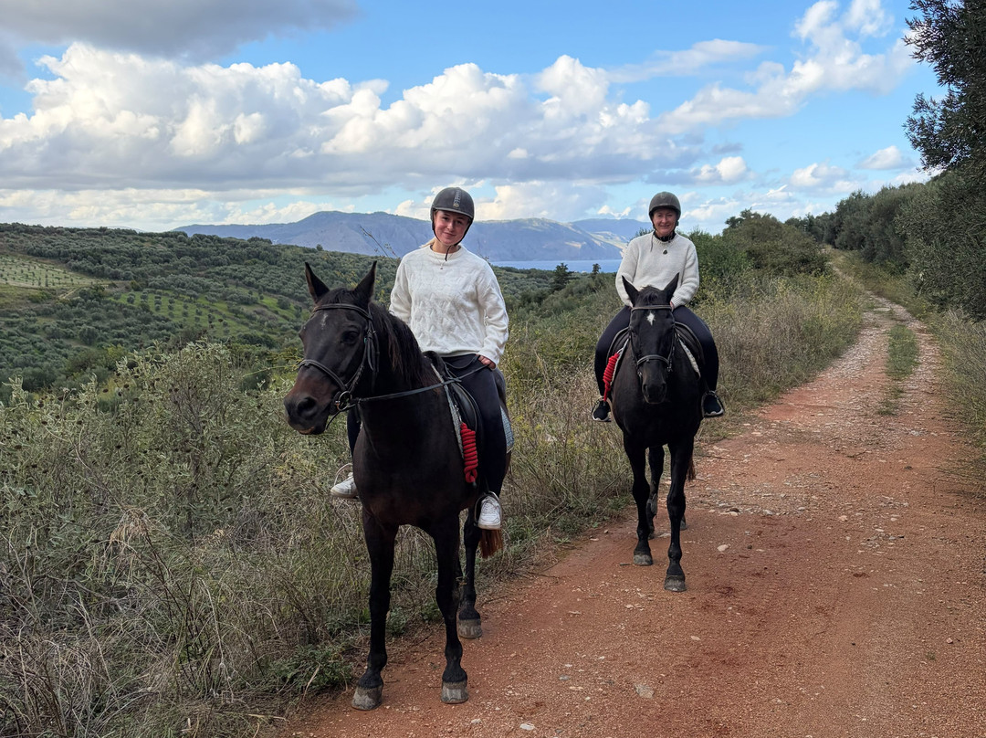 Zoraida's Horse Riding-Paralia Kourna必去景点