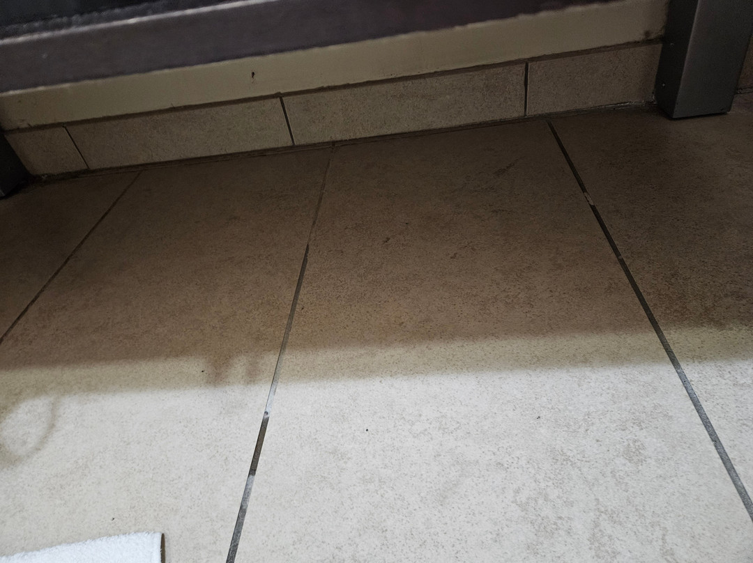 中庭贝斯特韦斯特优质套房酒店主图