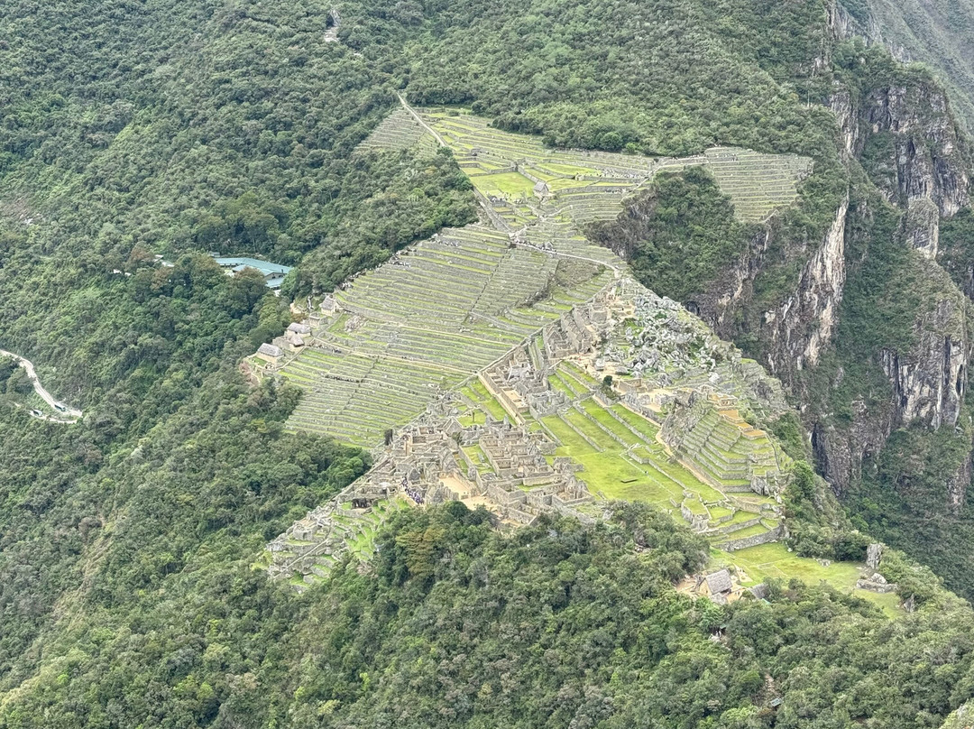 Alpaca Expeditions-库斯科必去景点