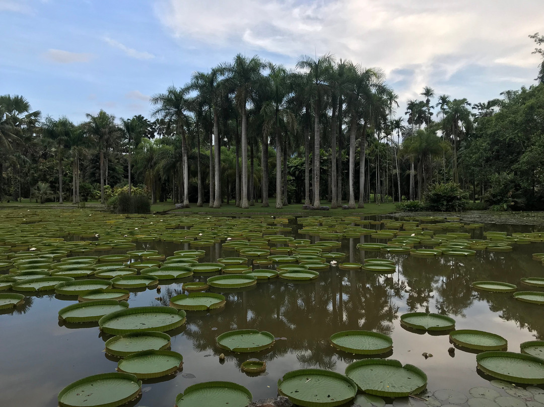 热带植物园宾馆主图