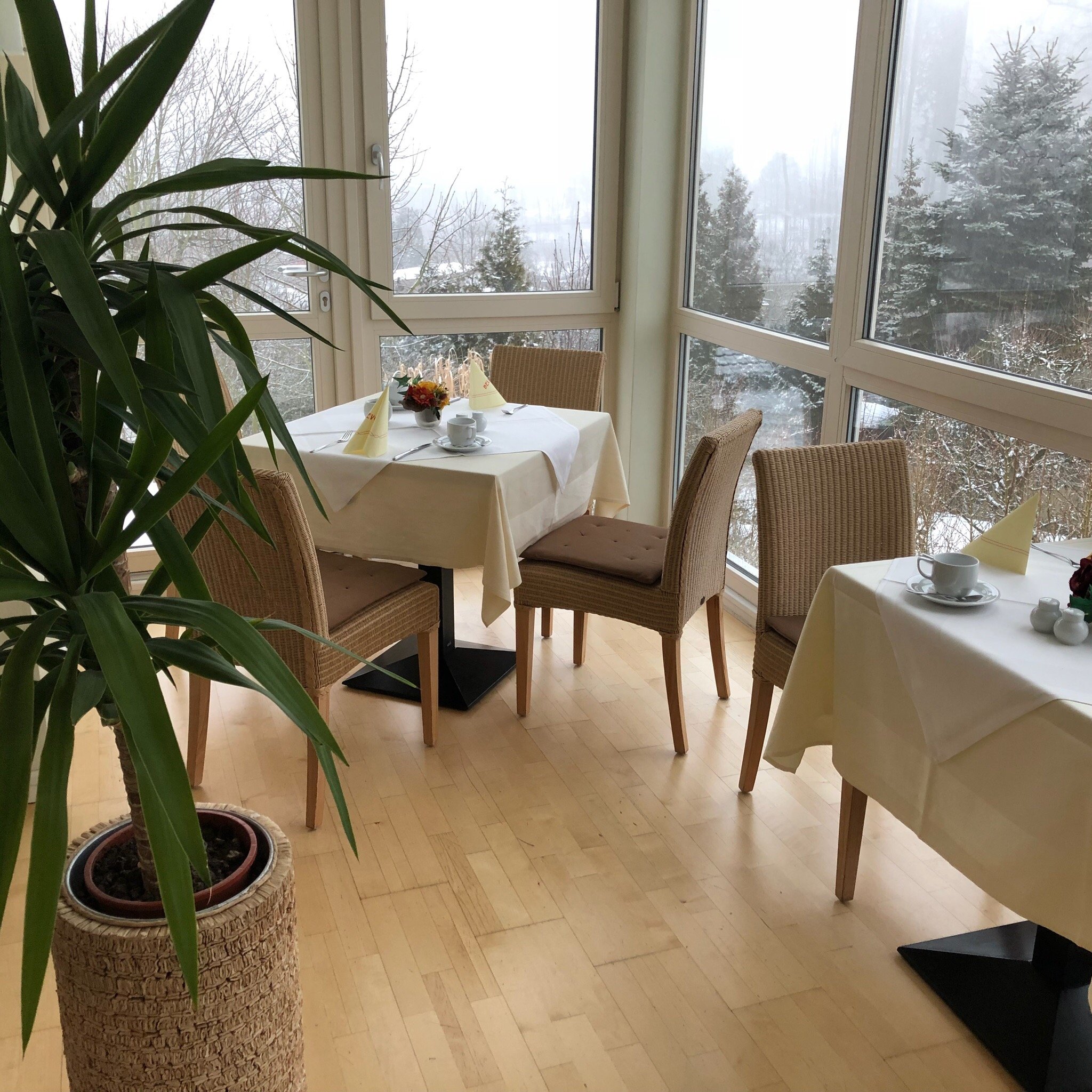 Hotel-Pension Bellevue-官方