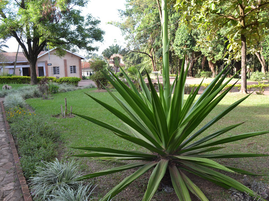 Lweza Training and Conference Centre