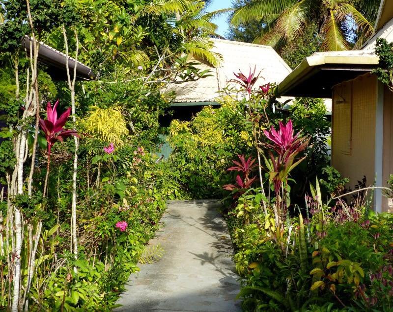 The Friendly Islander- Papiloa's Place.-官方