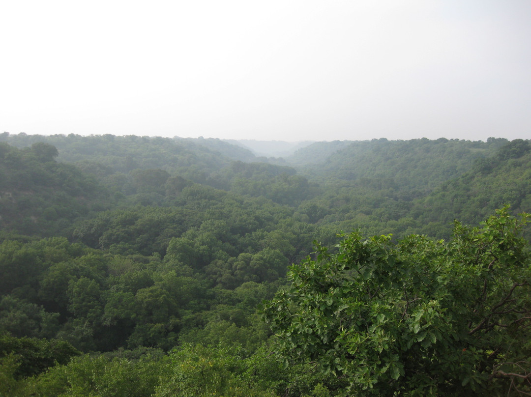 大青沟生态旅游区-科尔沁左翼后旗必去景点