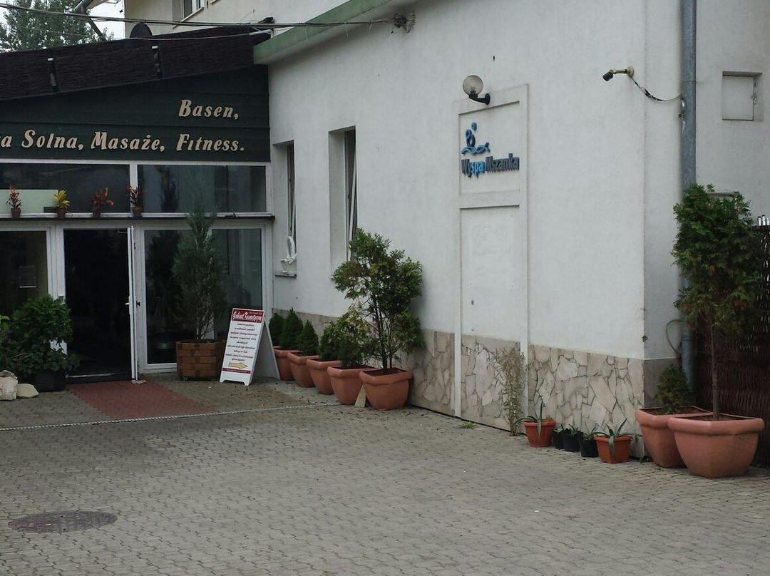 Wyspa Mszanka