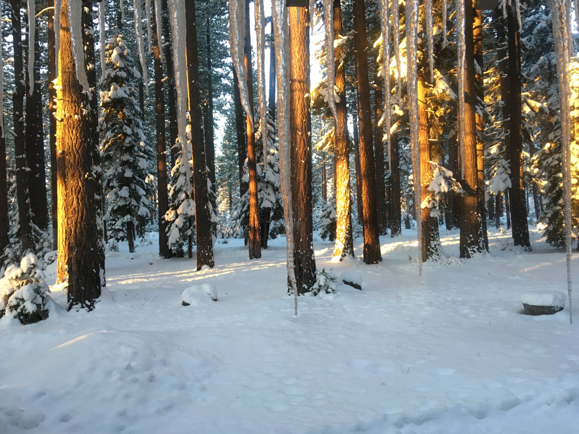 Tamarack Lodge-官方