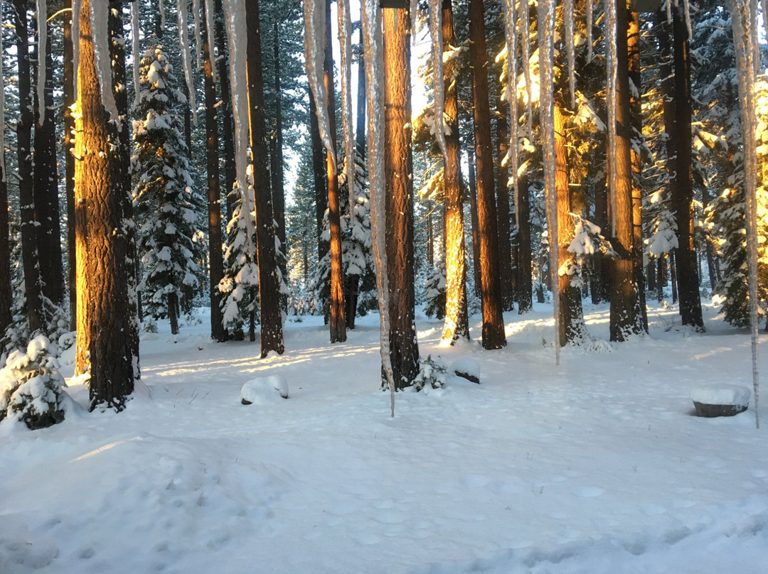 塔霍城酒店住宿-Tamarack Lodge