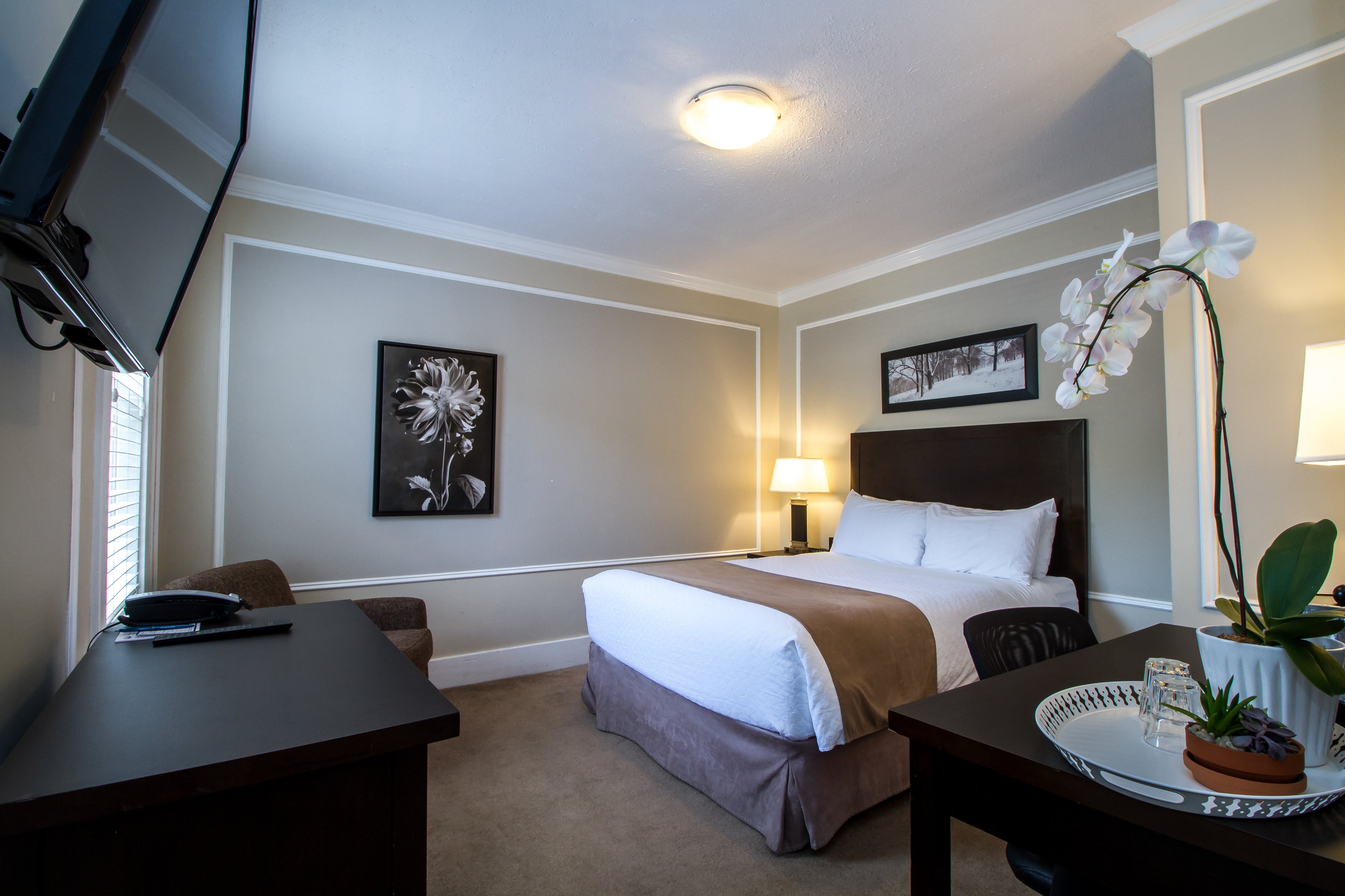 Regent Hotel-官方