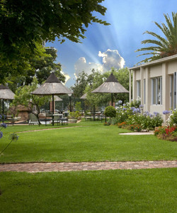 雪松公园酒店酒店图片