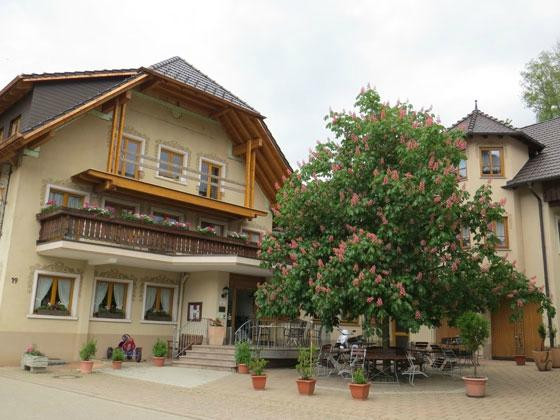 Schweighausen酒店住宿-Gasthof Hirschen-Dorfmuehle