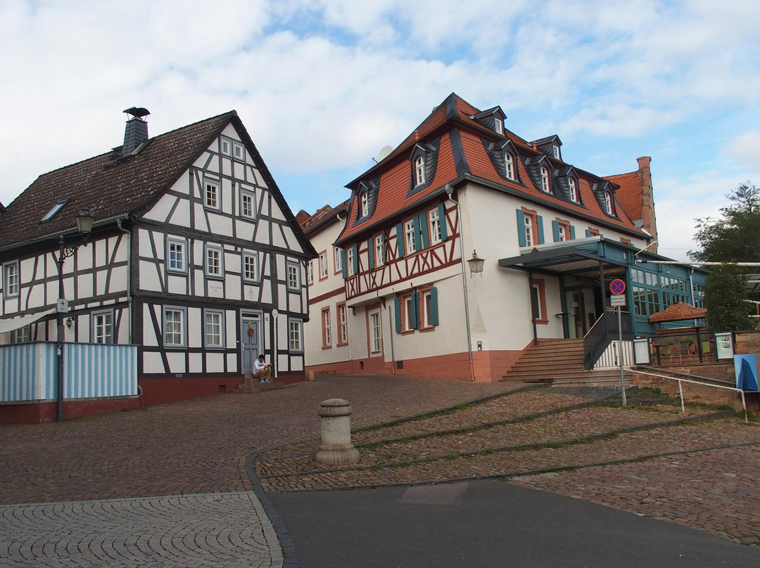 塞利根施塔特酒店住宿-Hotel Ristorante Mainterrasse