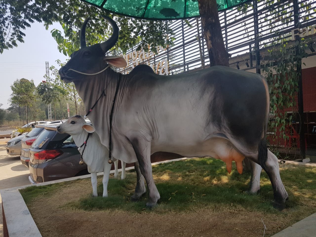 Organic Mandya Farm-官方