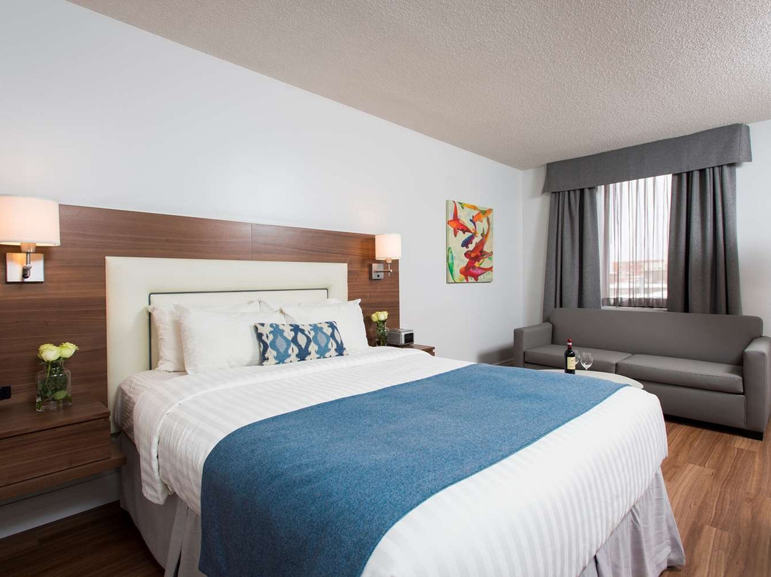 Hotel Albert par G5主图