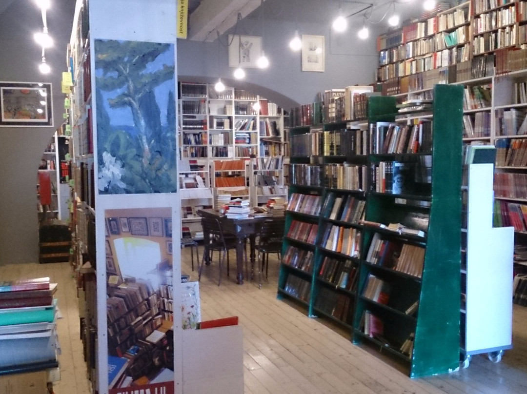 Ex Libris Antiquariato景点图片